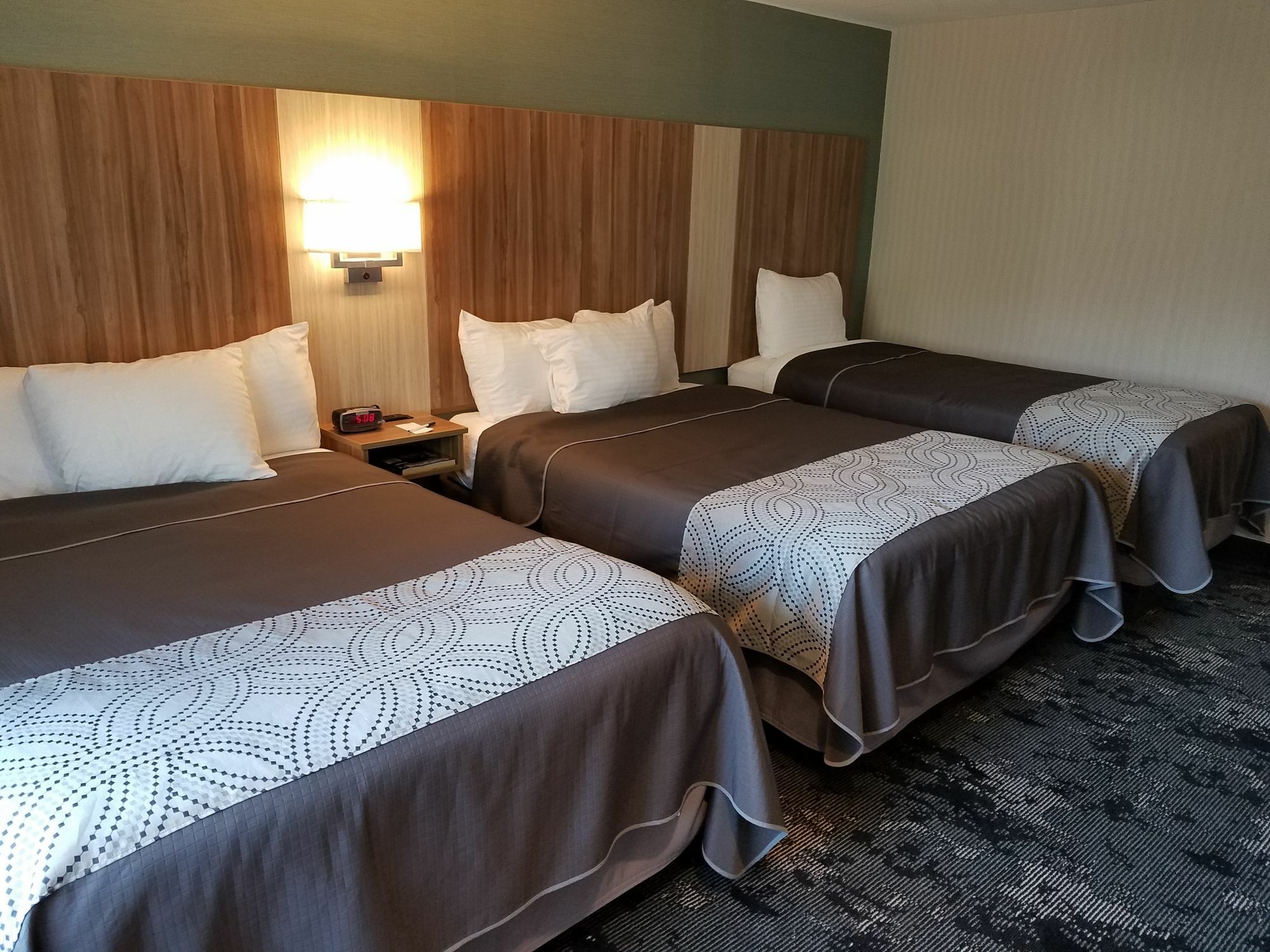 Aartpark Hotel Inn At Lewsiton Lewiston Buitenkant foto